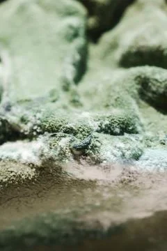 Green Mold Surface Close Up on Spoiled Cheese Stock Photos