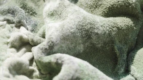 Green Mold Texture on Spoiled Cottage Cheese Stock Footage 345828045