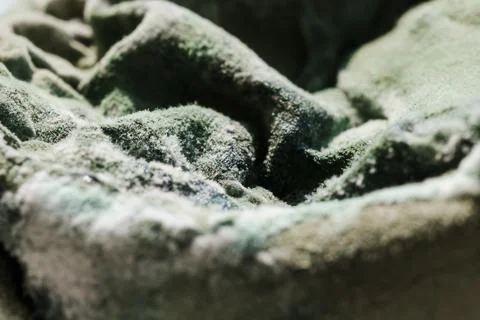 Green Mold Texture on Spoiled Cottage Cheese Stock Photos