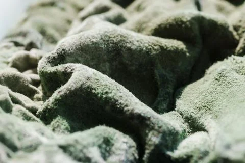 Green Mold Texture on Spoiled Cottage Cheese Stock Photos