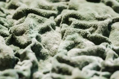Green Mold Texture on Spoiled Cottage Cheese Stock Photos