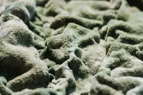 Green Mold Texture on Spoiled Cottage Cheese Stock Photos
