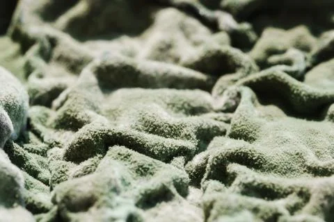 Green Mold Texture on Spoiled Cottage Cheese Stock Photos