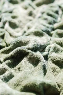 Green Mold Texture on Spoiled Cottage Cheese Stock Photos