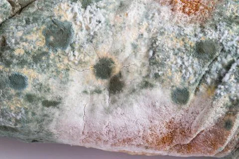 Green moldy bread on a white background, isolate. Loaf with mold, macro Stockfoto's
