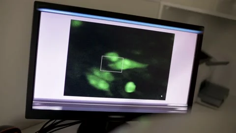 Green molecules of a virus or bacteria under a modern electron microscope close Stock-Footage 177918105