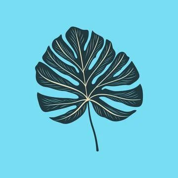 Green monstera leaf flat design Stock-Illustration