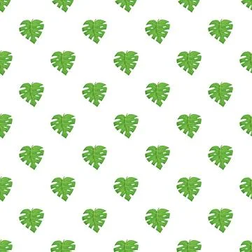 Green monstera leaf pattern on white background Stock Illustration