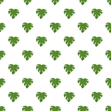 Green monstera leaf repeating pattern on white background 库存插图