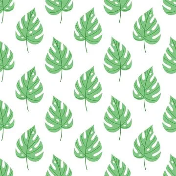 Green monstera leaf seamless pattern, minimalist tropical botanical background Ilustração Stock