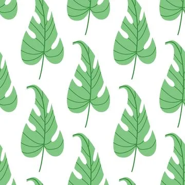 Green monstera leaf seamless pattern, minimalist tropical botanical background 스톡 일러스트