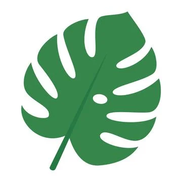 Green Monstera Leaf Tropical Vector Illustration Stock Illustration