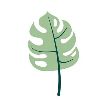 Green monstera leaf vector graphic illustration design Stock Illustration