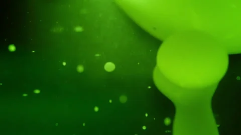 Green morphing bubbles flowing in liquid against gradient background Stock Footage 293246304