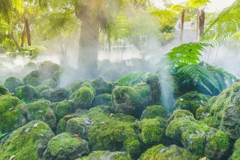 Green mos on stone while water springer spreading in the garden Stock Photos