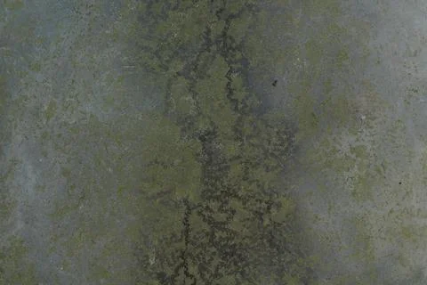 Green moss abstract background looking like river delta or map Stock Photos