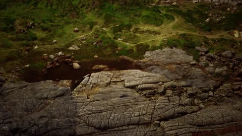 Green moss and dried death black moss marks over beach rocks Stock Footage 140671384