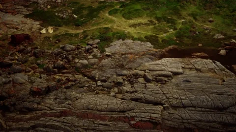 Green moss and dried death black moss marks over beach rocks Stock-Footage 141444004