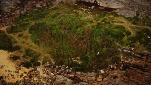Green moss and dried death black moss marks over beach rocks Stock Footage 142535948