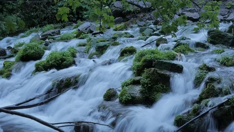 Green moss and a mountain spring slow shutter effect. Stock Footage 77995084