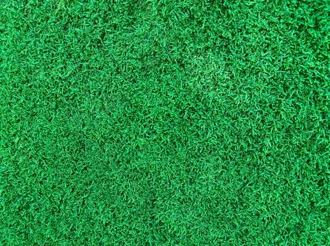 Green moss as a background. texture, wallpaper of moss. mossy moss Foto stock