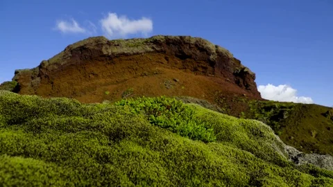 Green moss covered on red rocks Stock Footage 73011138