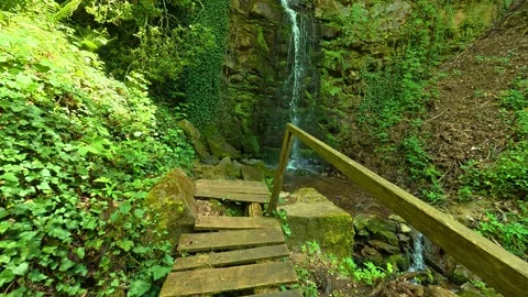 Green moss covers stone steps leading to a waterfall. Balkans, Serbia. Stock-Footage 336893052