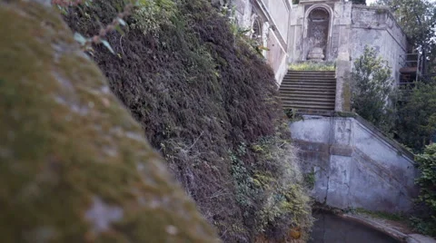 Green moss on old stone wall and fly dove Video stock 63150494