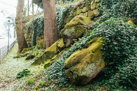 Green moss on stone Stock Photos