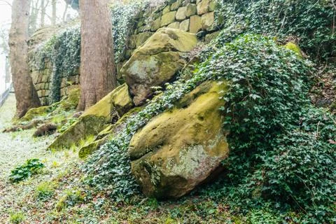 Green moss on stone Stock Photos