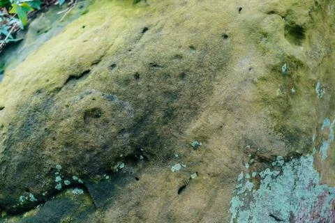 Green moss on stone Stock Photos