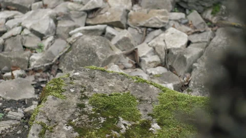 Green moss on stones close-up. Old stones. Rock Stock Footage 266071593