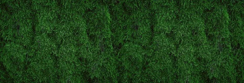 Green moss on tree trunk for background Stock Photos