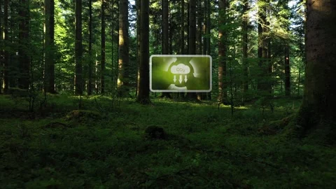 Green mossy forest with carbon dioxide icon animation Stock Footage 341831495