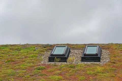 Green mossy rooftop with angled windows and loose small gravel Stock Photos