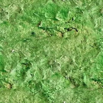 Green mossy surface, seamless pattern Stock-Fotos