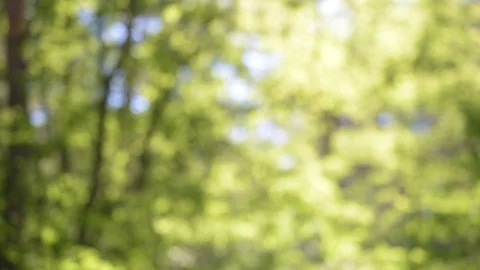 Green motion background with natural light particles Stock Footage 88504440