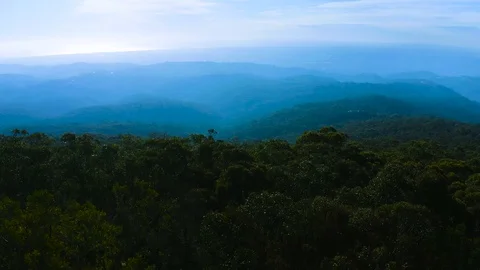 Green  mountain and forest Stock-Footage 97665429