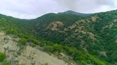 GReen mountain and  trees area Stock Footage 137011982