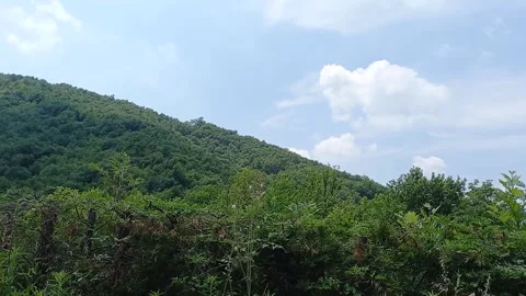 Green Mountain Bright Day Stock Footage 158453894