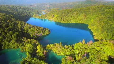 Green Mountain coniferous forest with deep blue lake. Dense wood landscape in Video stock 252662348
