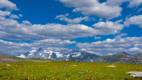 Green mountain fields time lapse scene Stock Footage 169244601