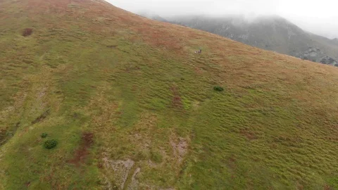 Green mountain 動画素材 129370193