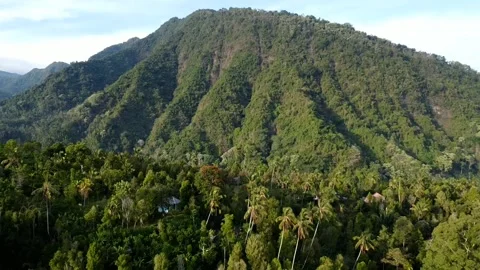 Green mountain forest Stock-Footage 271347071