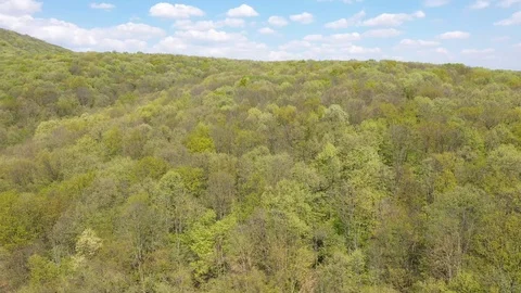 Green mountain forest in scenic spin 180 degree Video stock 106760603