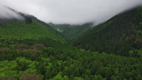 Green mountain forest under heavy clouds Video stock 137600704