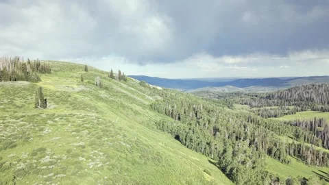 Green Mountain Hills and Dense Forest in Uinta Mountains Utah Stock Footage 339494883