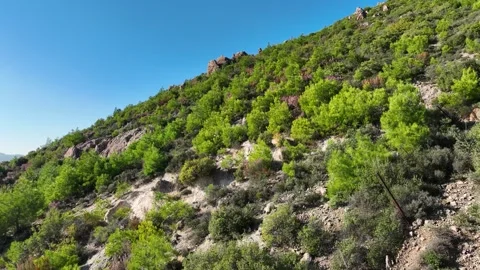 Green Mountain Hillside Stock Footage 316879045