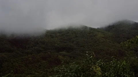 Green mountain on the island in cloudy rainy weather, the top of the mountain is Stock Footage 103428005