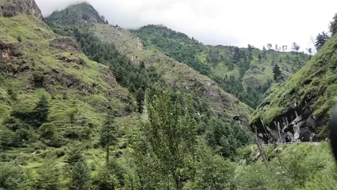 Green Mountain landscape trees Vidéo 157810751